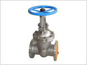 Gate Valve-003